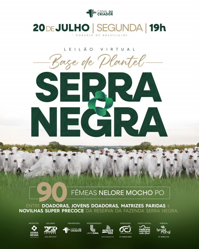 Leilão VIrtual Base de Plantel Serra Negra