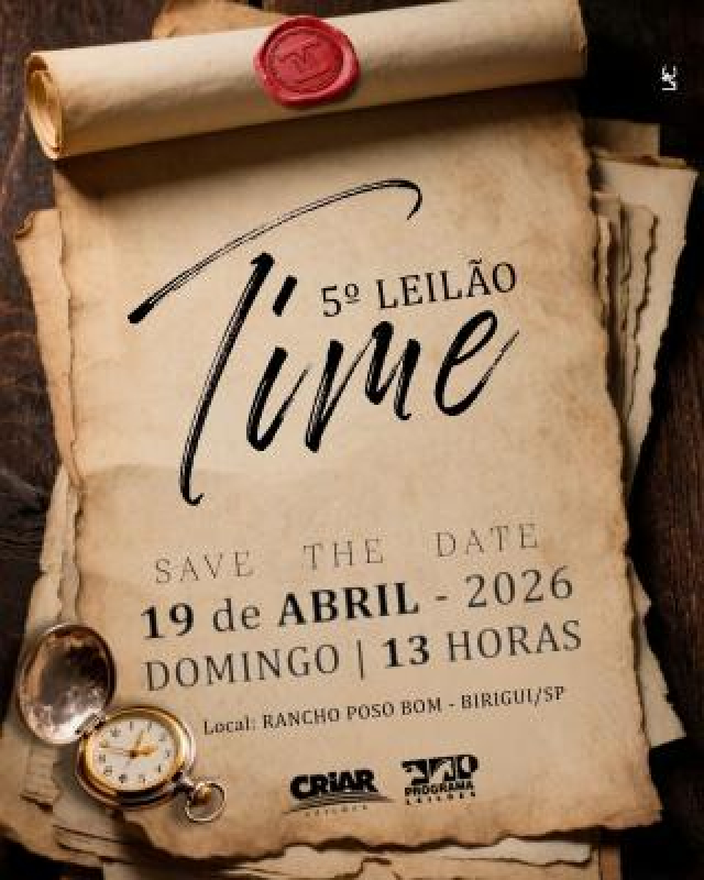 5° Leilão Time