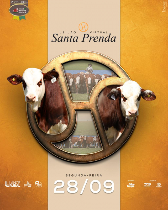Leilão Virtual Santa Prenda