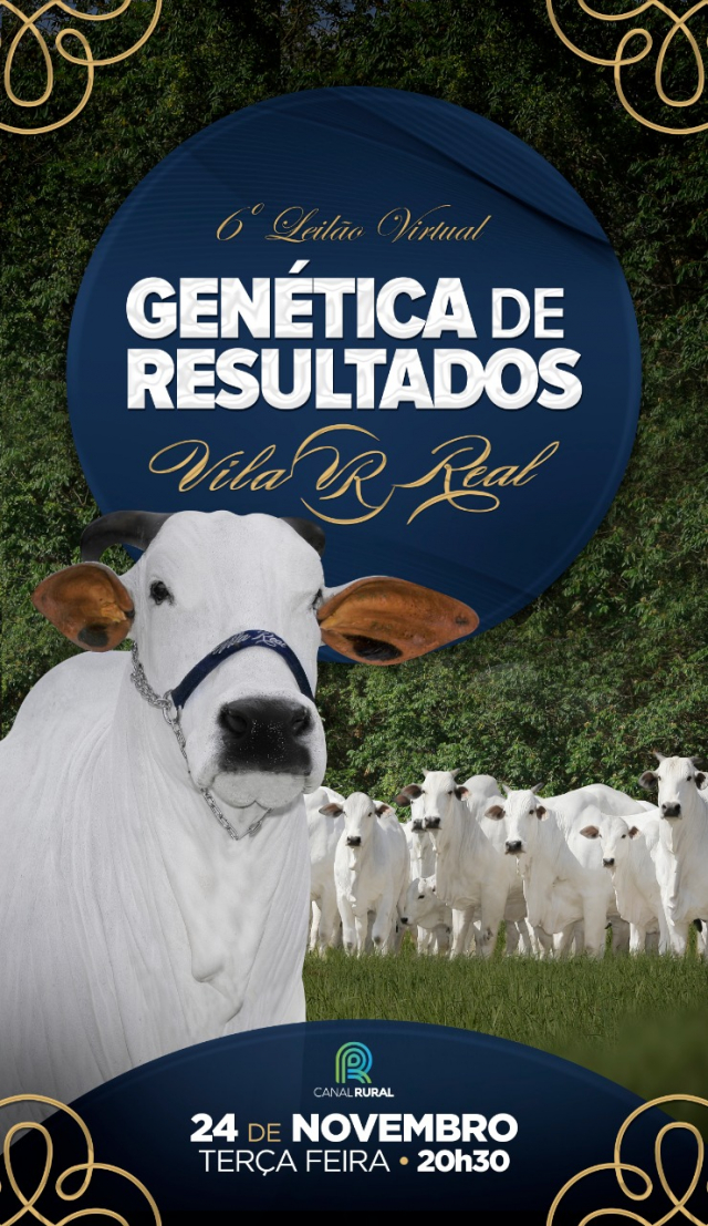 6° Leilão Virtual Genética de Resultados Vila Real