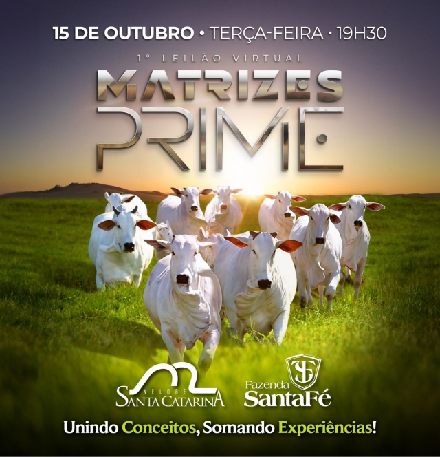 1º Leilão Virtual Matrizes Prime - Nelore Santa Catarina e Fazenda Santa Fé