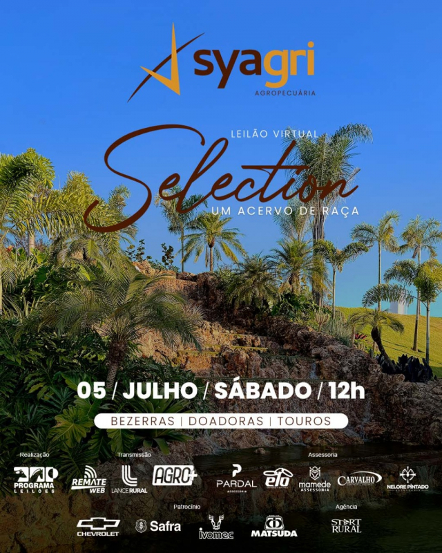 Leilão Virtual Selection - Syagri