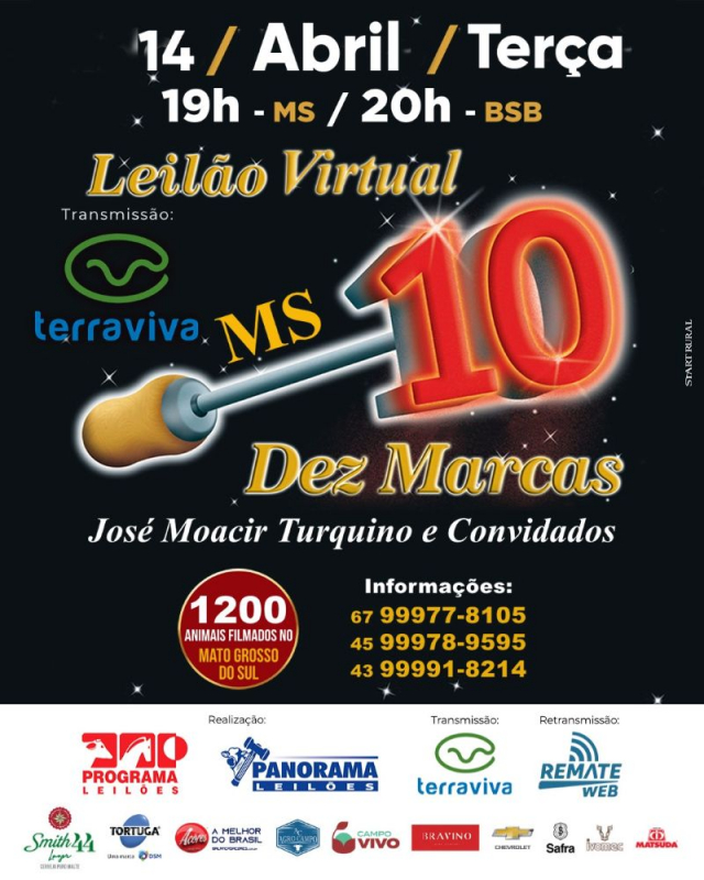 Leilão Virtual 10 Marcas