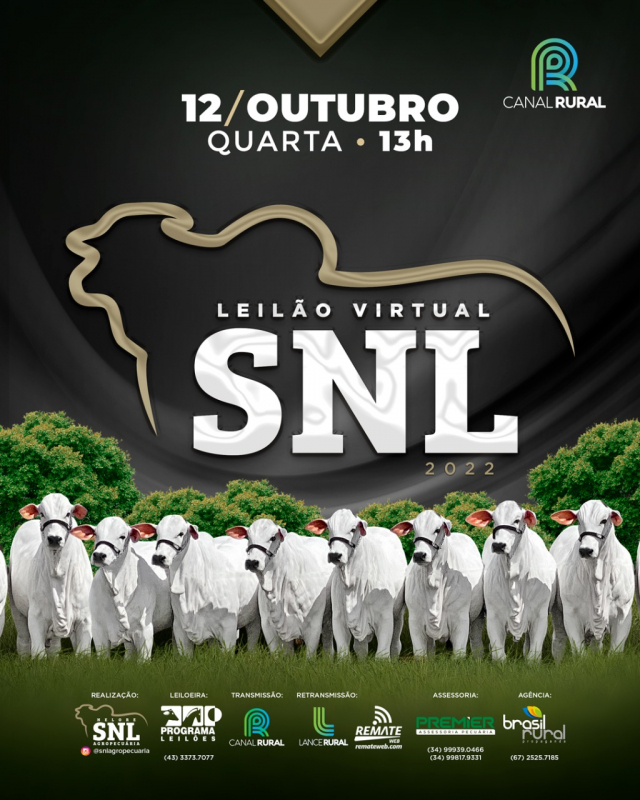 Leilão Virtual SNL 2022