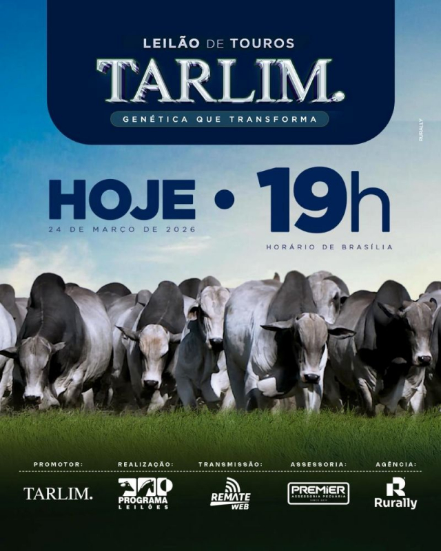 Leilão Virtual de Touros Tarlim.