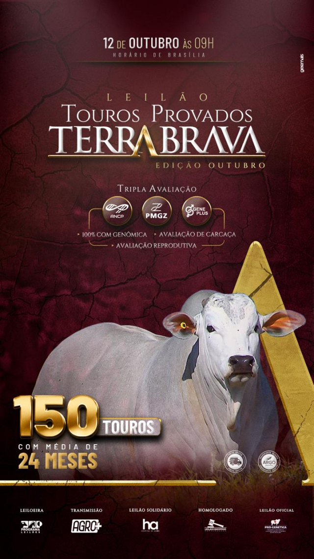 Leilão Virtual Touros Provados Terra Brava