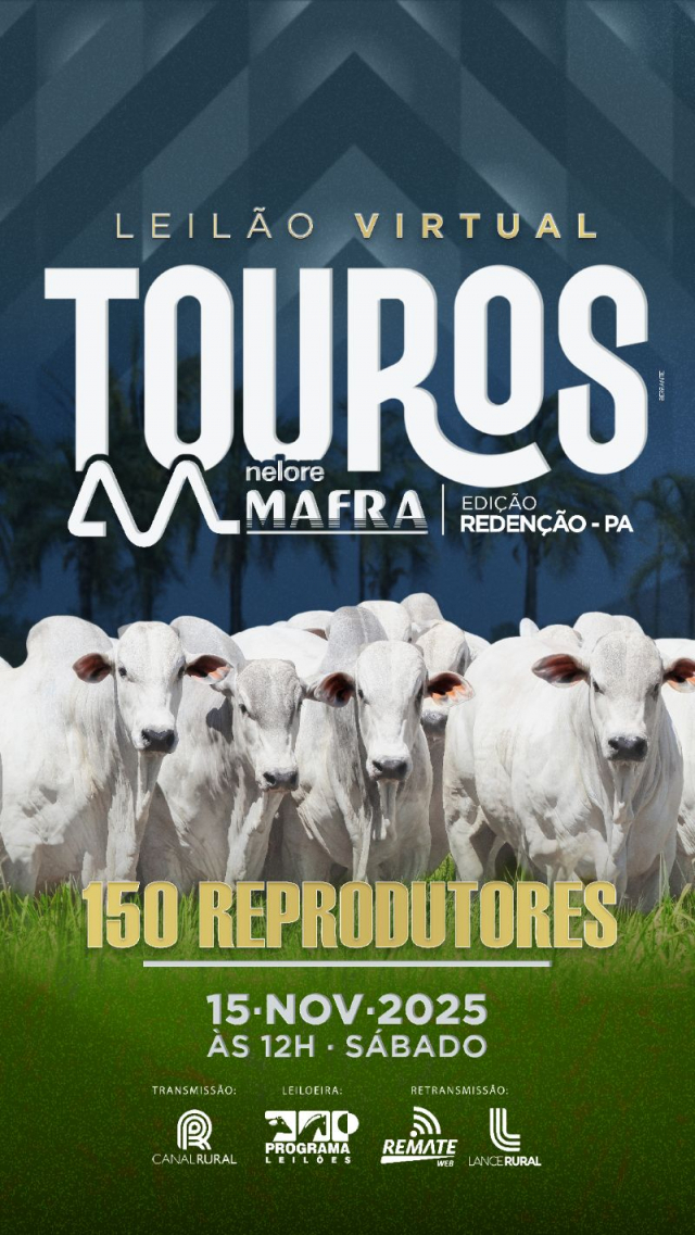 Leilão Virtual Touros Nelore Mafra - Edição Redenção