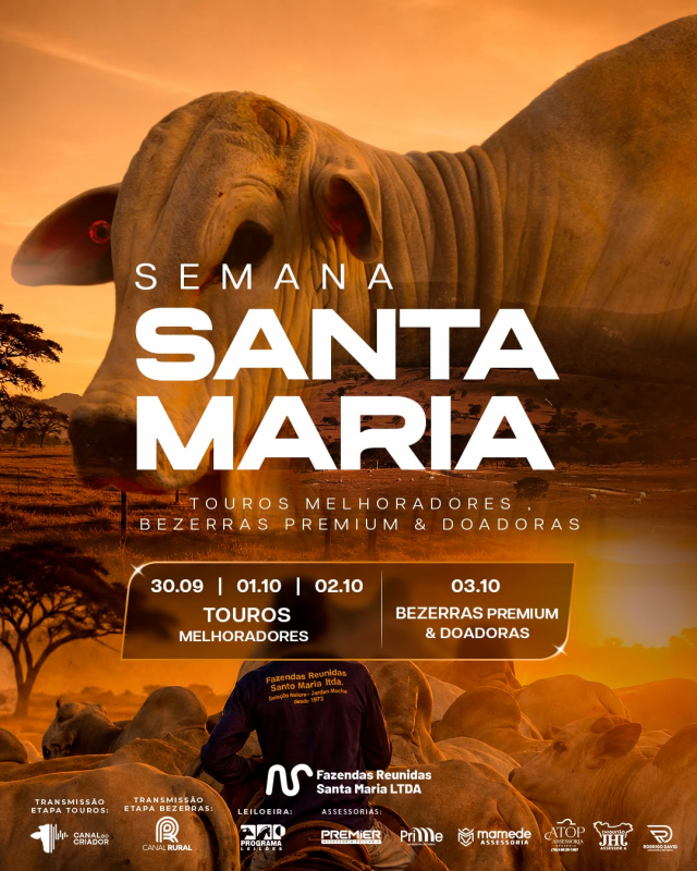 Semana Santa Maria - Leilão Touros Melhoradores