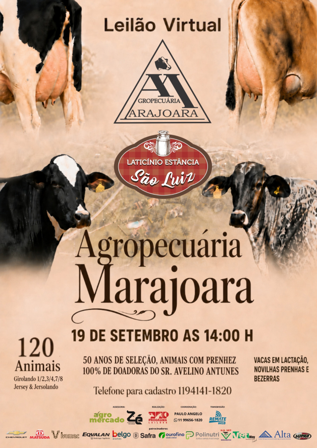 Leilão Virtual Agropecuária Marajoara