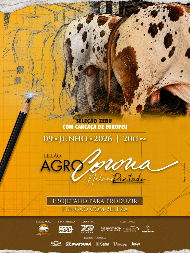 Leilão Virtual Agro Corona - Nelore Pintado