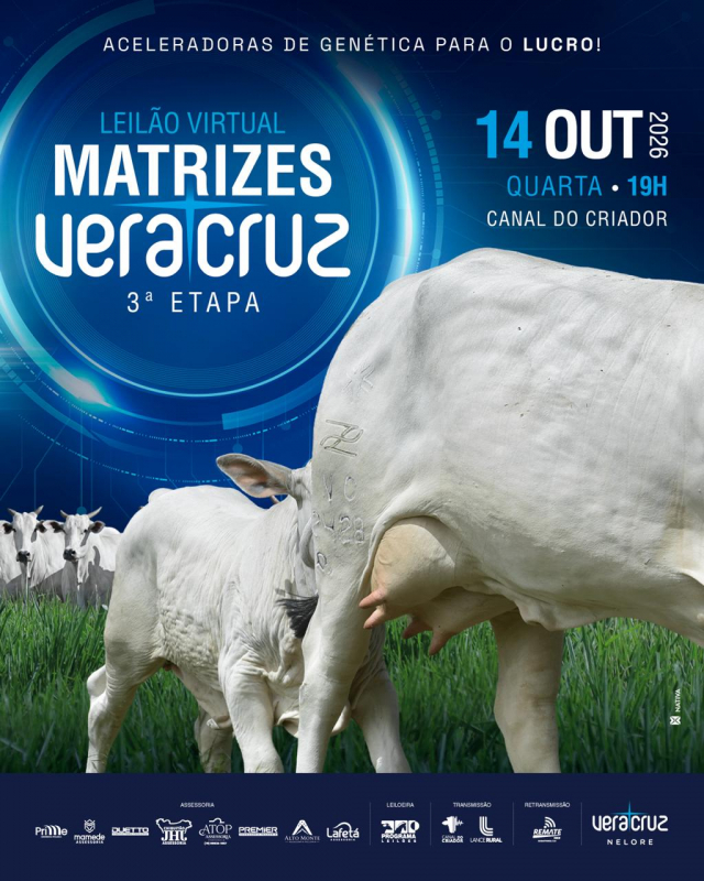 Leilão Matrizes Vera Cruz 3º Etapa
