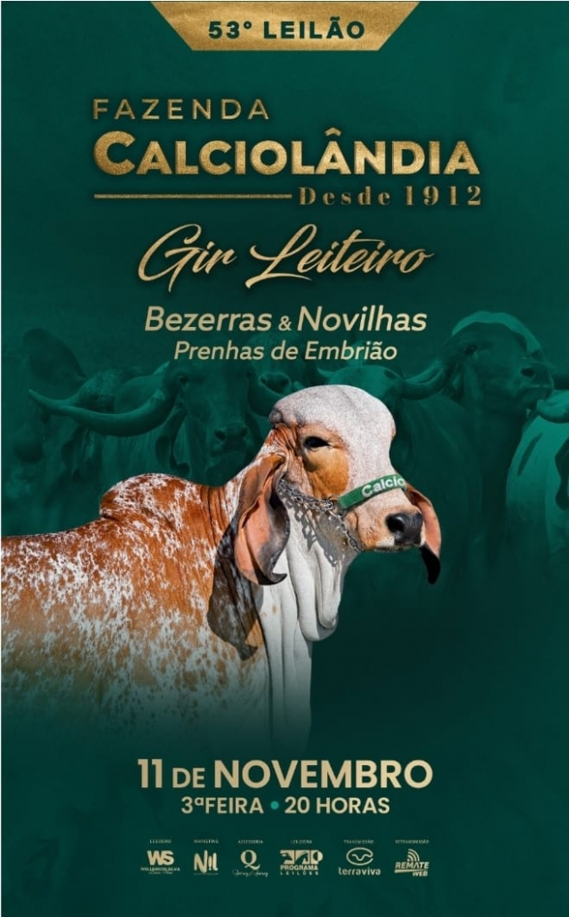 53º Leilão Virtual Gir Leiteiro Calciolândia - Fêmeas