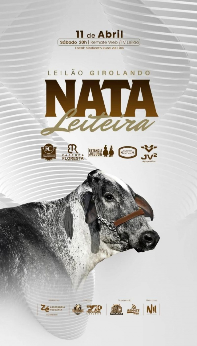 Leilão Virtual Girolando Nata Leiteira