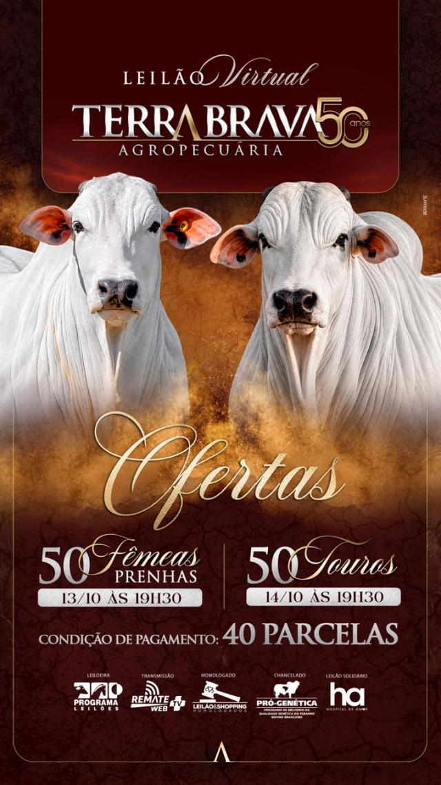 Leilão Virtual Terra Brava - Touros
