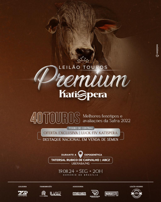 Leilão Touros Premium Katispera