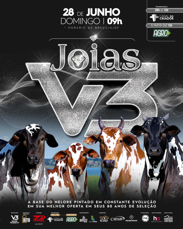 Leilão Jóias V3