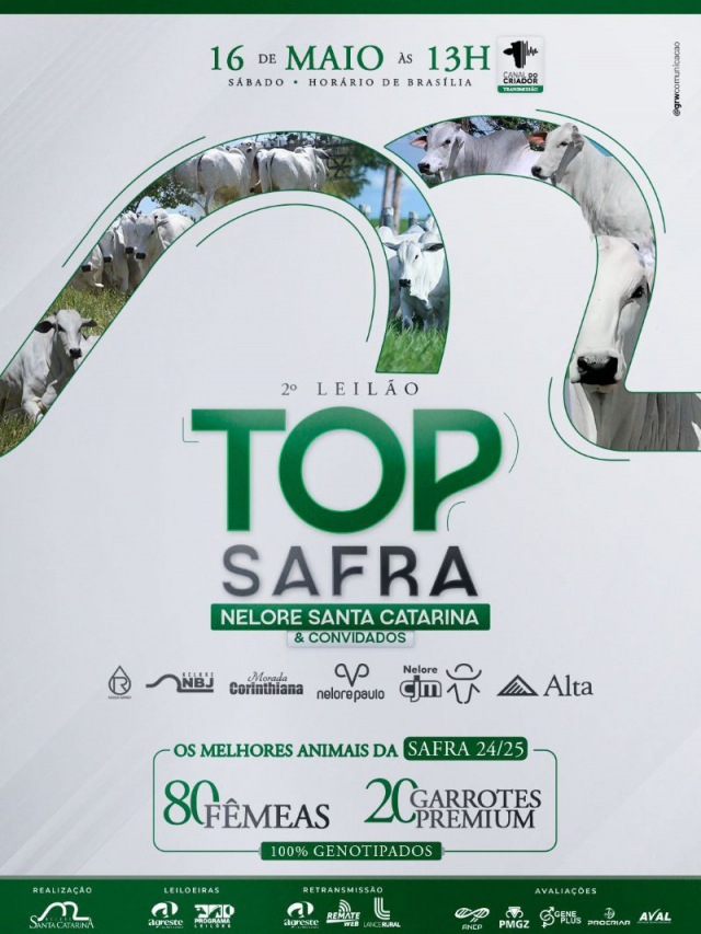 2º Leilão Virtual Top Safra - Nelore Santa Catarina e Convidados