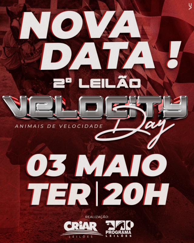 2° Leilão Virtual Velocity Day
