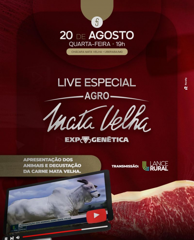 LIVE Especial - Agro Mata Velha Expogenética