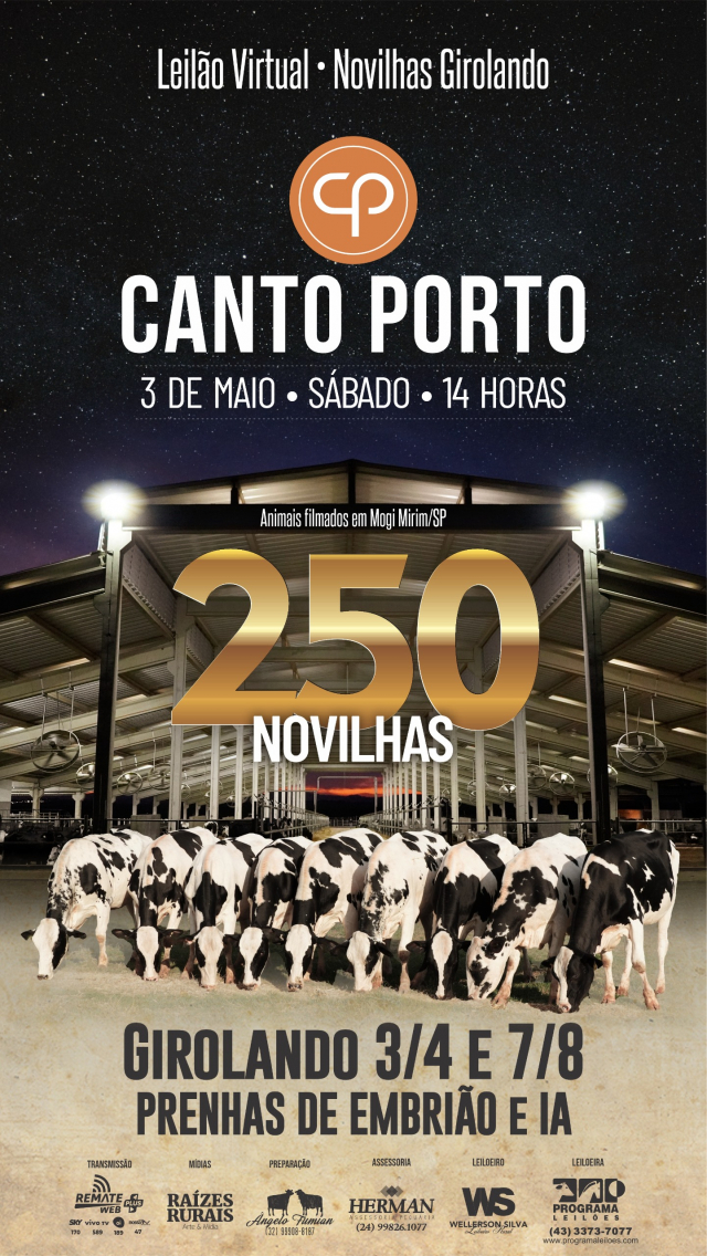 Leilão Virtual Novilhas Girolando Canto Porto