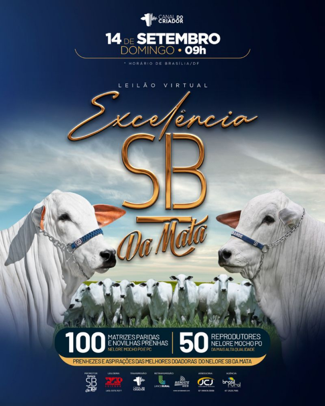 Leilão Virtual Excelência SB da Mata