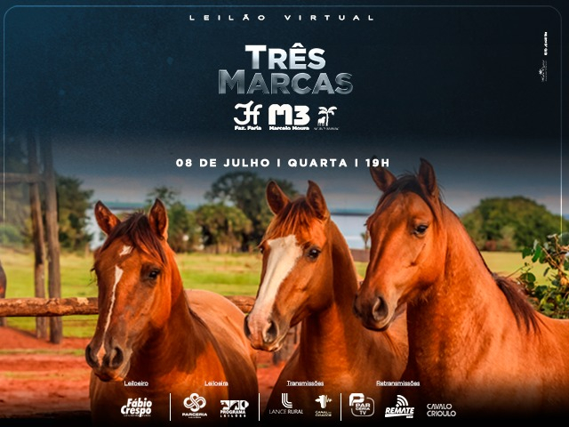 Leilão Virtual Três Marcas