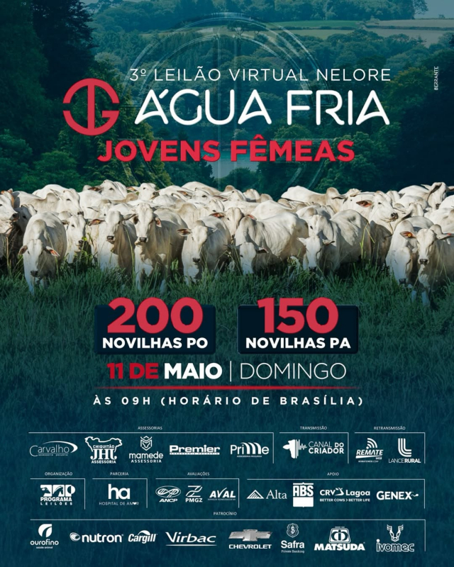 3º Leilão Virtual Nelore Água Fria - Jovens Fêmeas