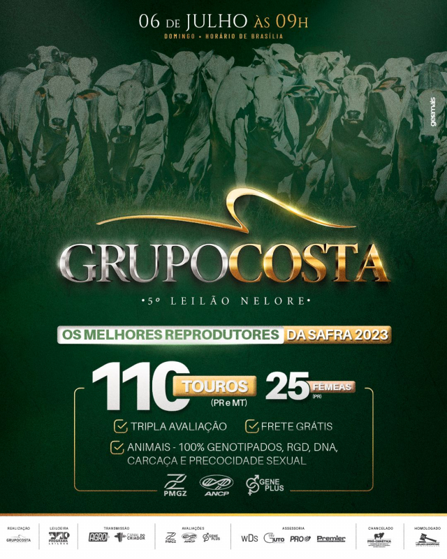 5º Leilão Virtual Nelore Grupo Costa