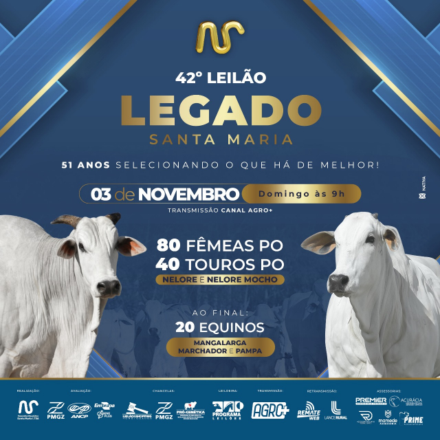 42° Leilão Virtual Legado Santa Maria