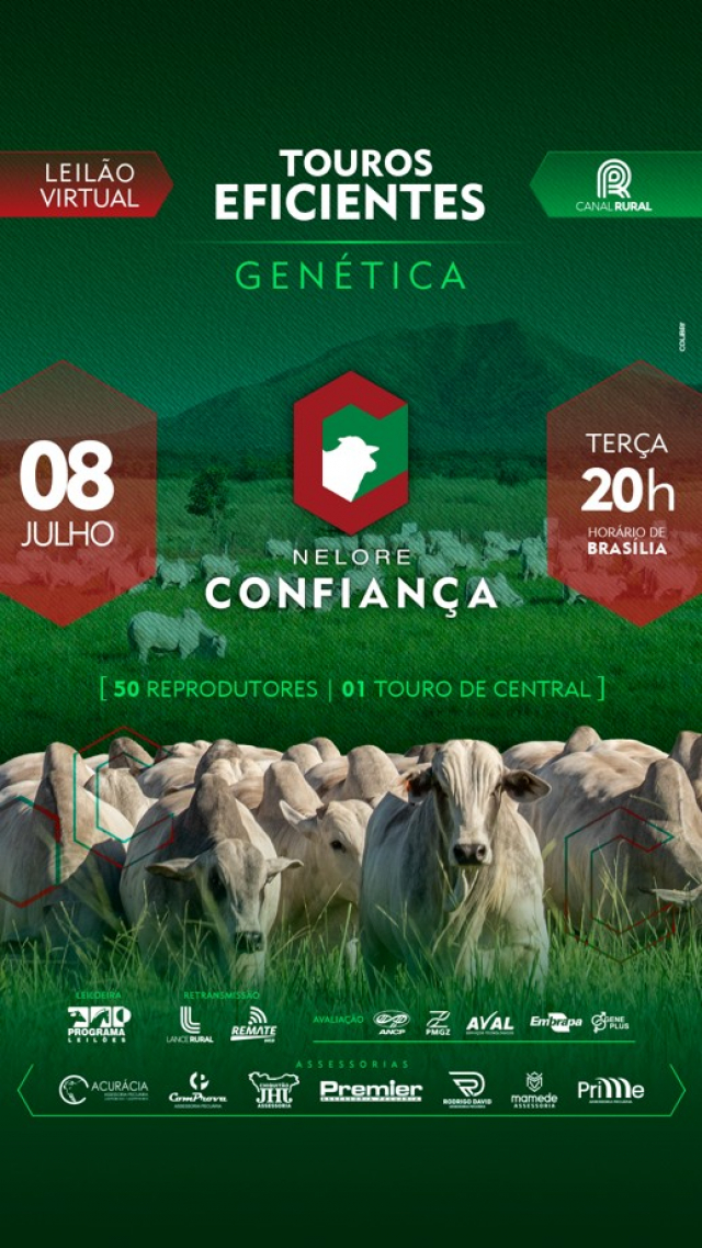 Leilão Virtual Touros Eficientes Nelore Confiança