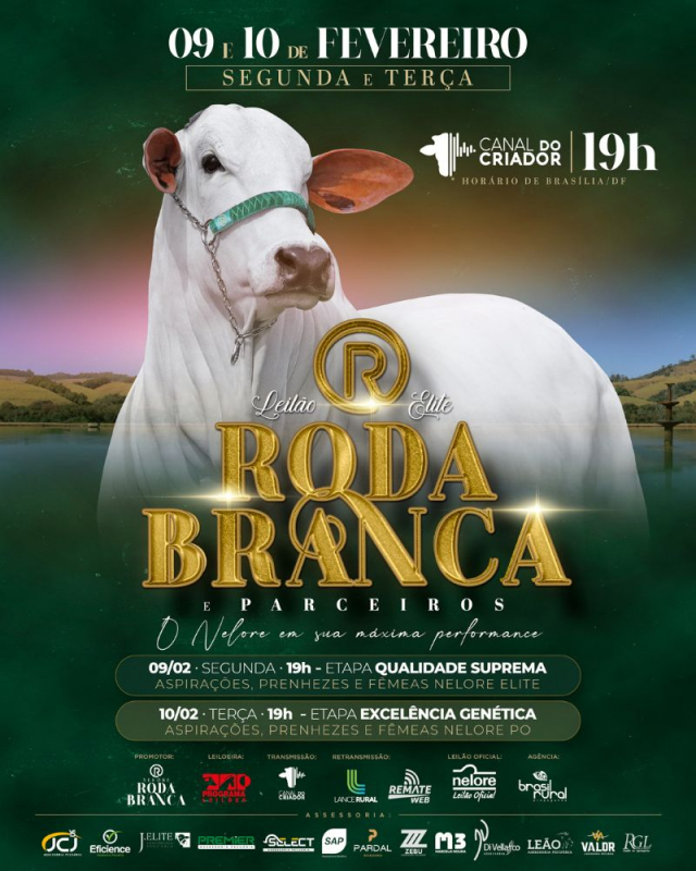 Leilão Elite Roda Branca & Parceiros - Excelência Genética