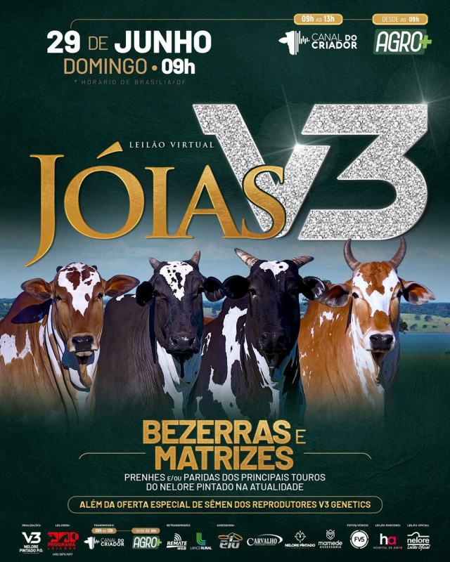 Leilão Virtual Jóias V3 - Bezerras e Matrizes