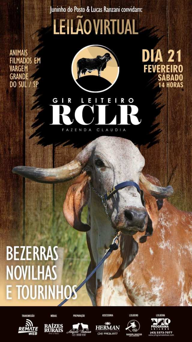 Leilão Virtual Gir Leiteiro RCLR - Fazenda Claúdia