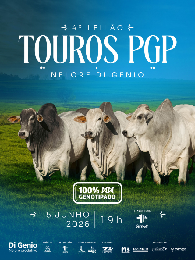 4° Leilão Touros PGP Nelore Di Genio