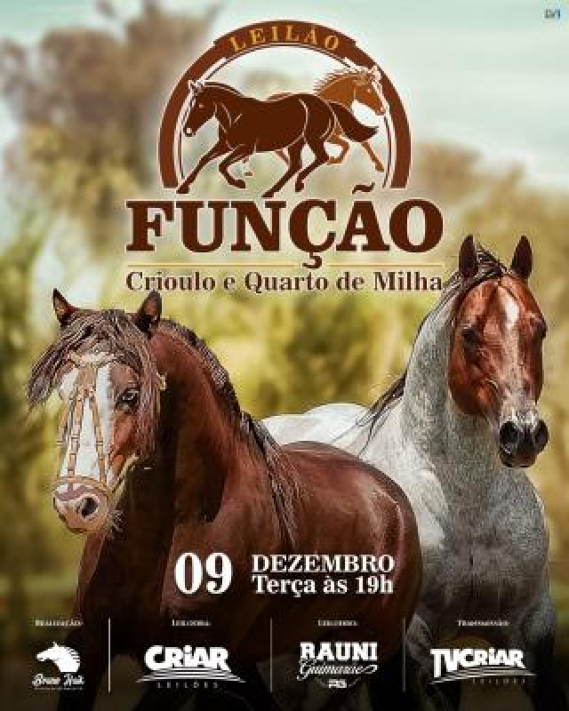 1º Leilão Virtual Função - Cavalo Crioulo e Quarto de Milha