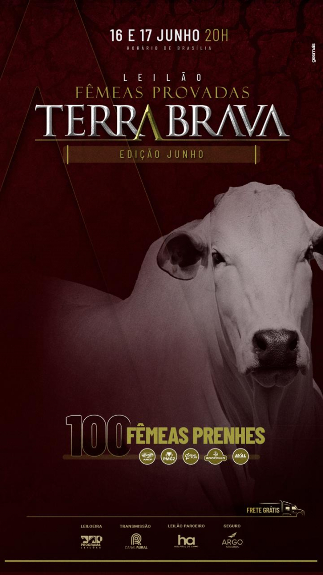 Leilão Virtual Fêmeas Provadas Terra Brava - 1ª etapa