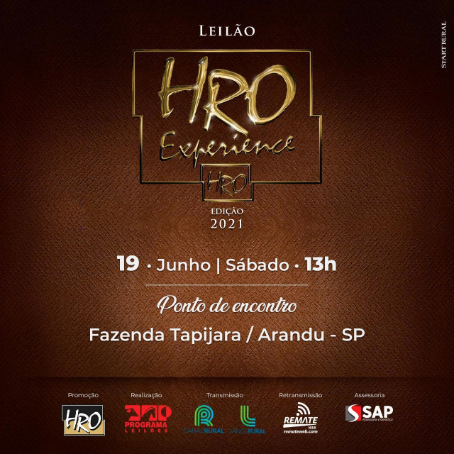 Leilão HRO Experience - Edição 2021