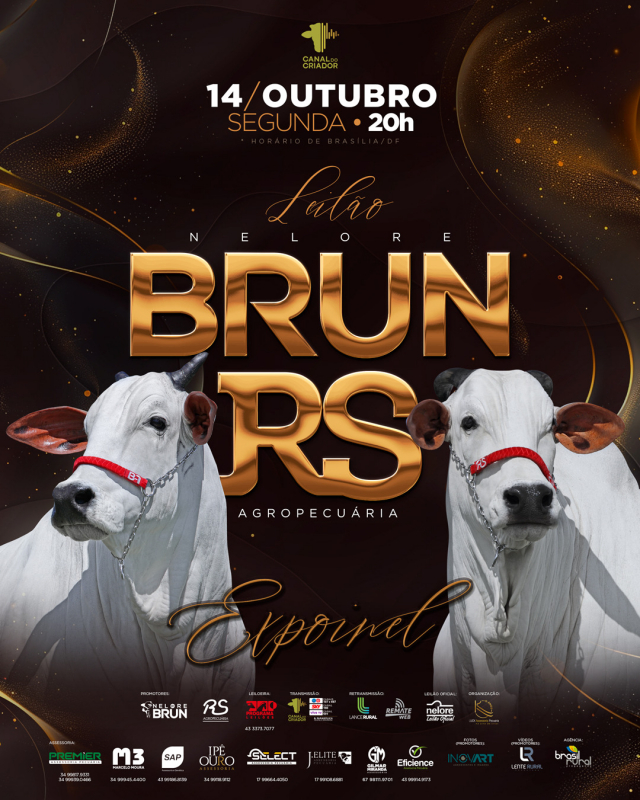 Leilão Nelore Brun & RS Agropecuária