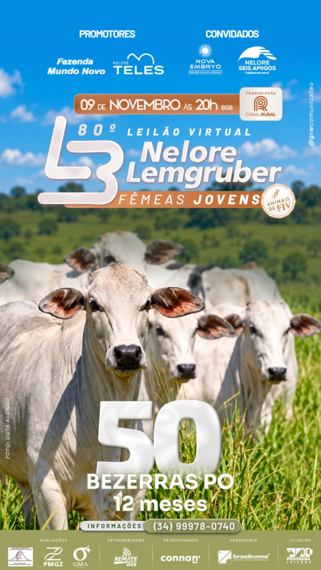 80º Leilão Virtual Nelore Lemgruber Fêmeas Jovens