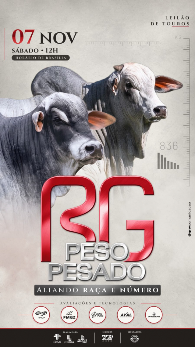 Leilão de Touros Peso Pesado RG