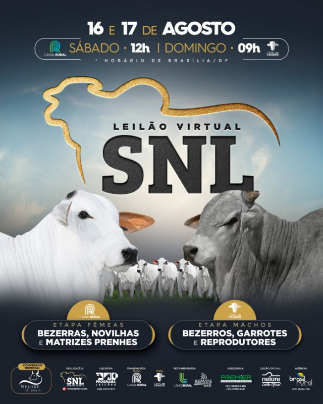 Leilão Virtual SNL - Machos