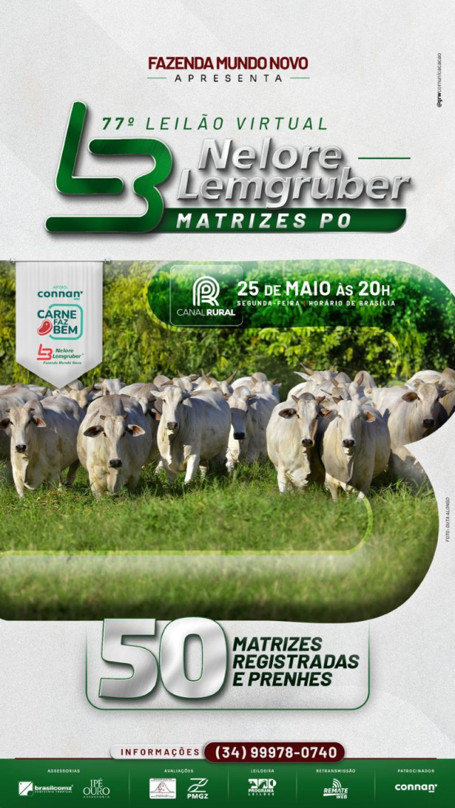 77º Leilão Virtual Nelore Lemgruber - Matrizes PO
