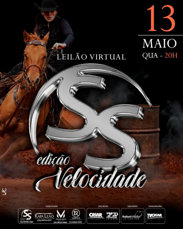 Leilão Virtual SS Edição Velocity