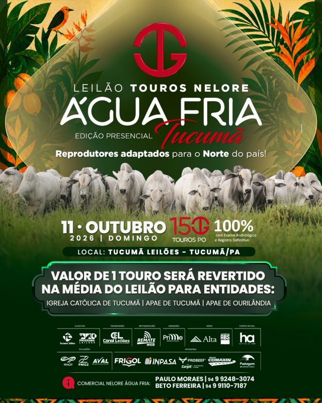 Leilão Touros Nelore Água Fria - Edição Presencial Tucumã