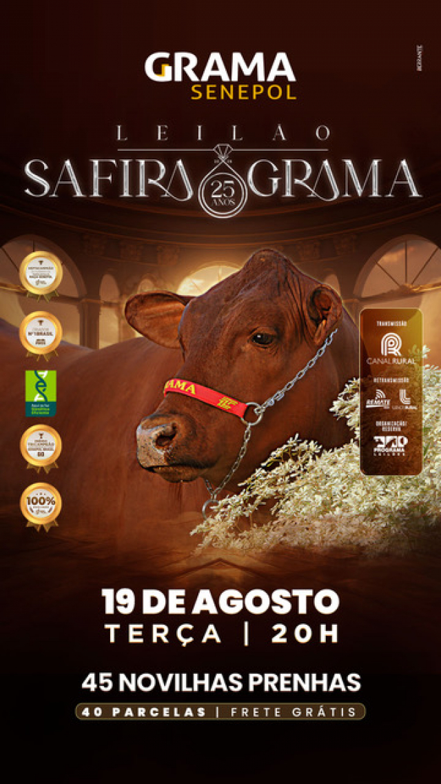 Leilão Virtual Safira Grama 25 Anos