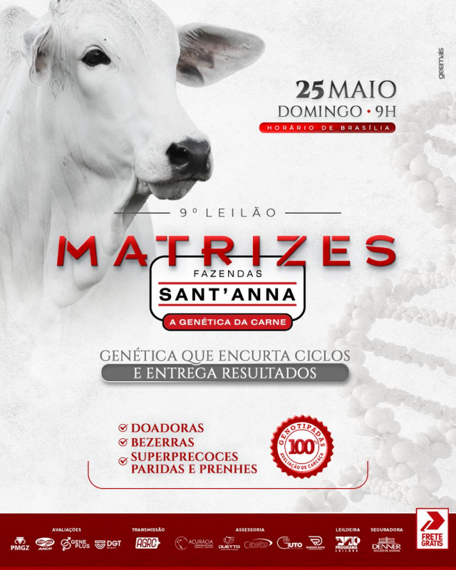9º Leilão Virtual Matrizes Sant'Anna