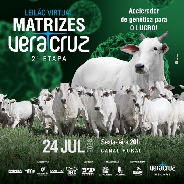 Leilão Virtual Matrizes Veracruz - 2ª Etapa