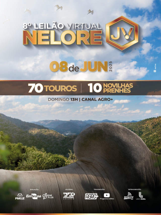8º Leilão Virtual Nelore JV