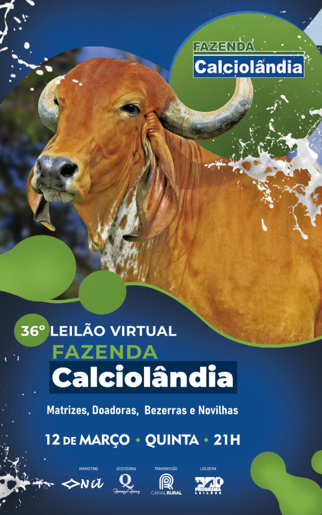 36° Leilão Virtual Fazenda Calciolândia