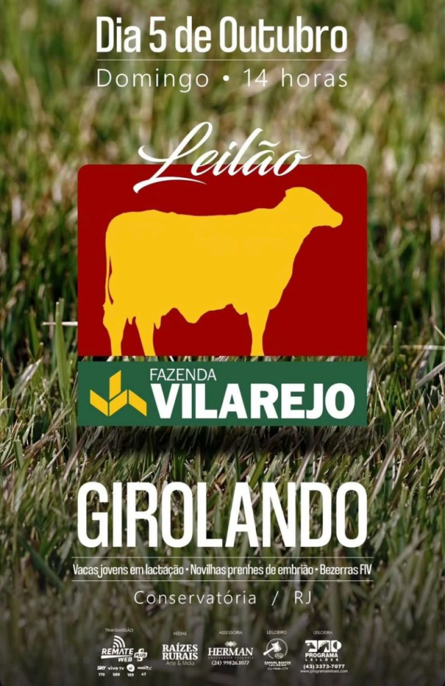 Leilão Virtual Fazenda Vilarejo - Girolando